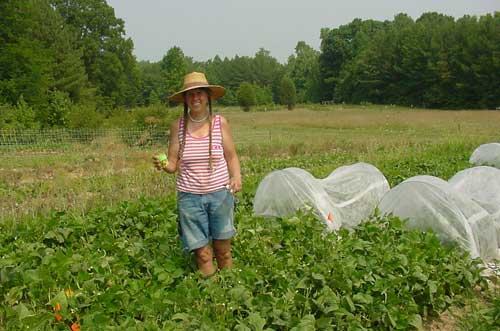 Perry-winkle Farm photo 8