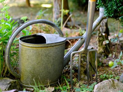 watering can and pitchfork in the garden