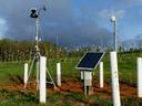 Automated weather station in Mountain Horticultural Crops Research Station apple orchard