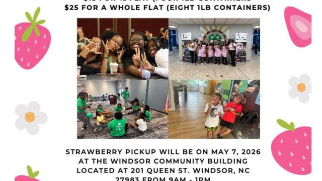 Bertie County 4-H Strawberry Fundraiser featuring pink text, strawberry and flower illustrations, and a collage of four photos showing local youth participating in various 4-H activities.