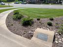 shrubs planted in a foundation planting with mulch