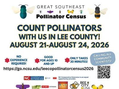 count pollinators in lee county from august 21 to august 24, 2026