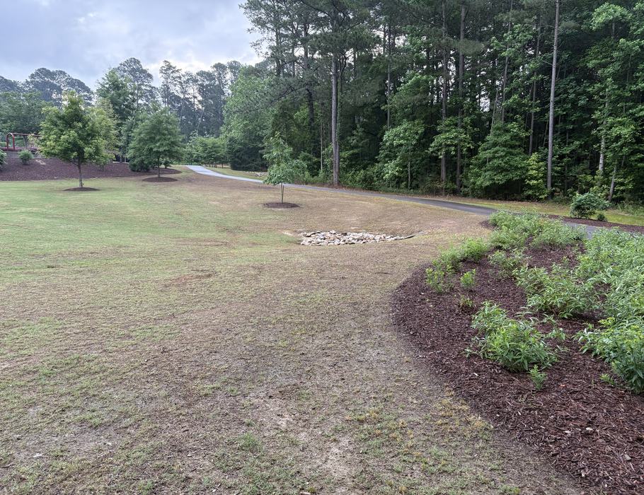 turfgrass winter damage 2026