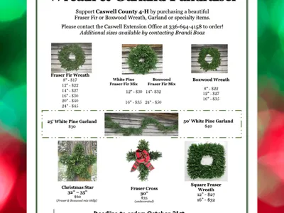 wreath and garland fundraiser by Caswell County 4-H