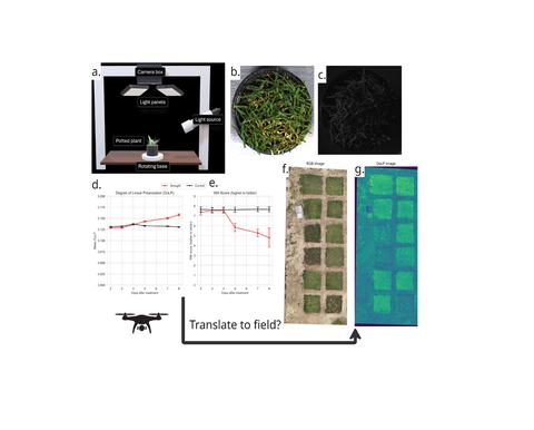 Image showing a potted plant under neath lights and a camera, the resulting image from this set-up, data gathered and charted on graphs, and then a translation to the field.