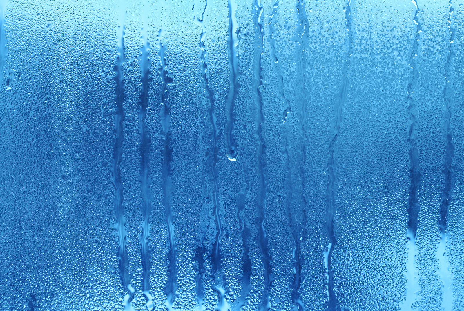 Creating a Safe and Healthy Home Step 3: Eliminate Moisture, Keep it Dry