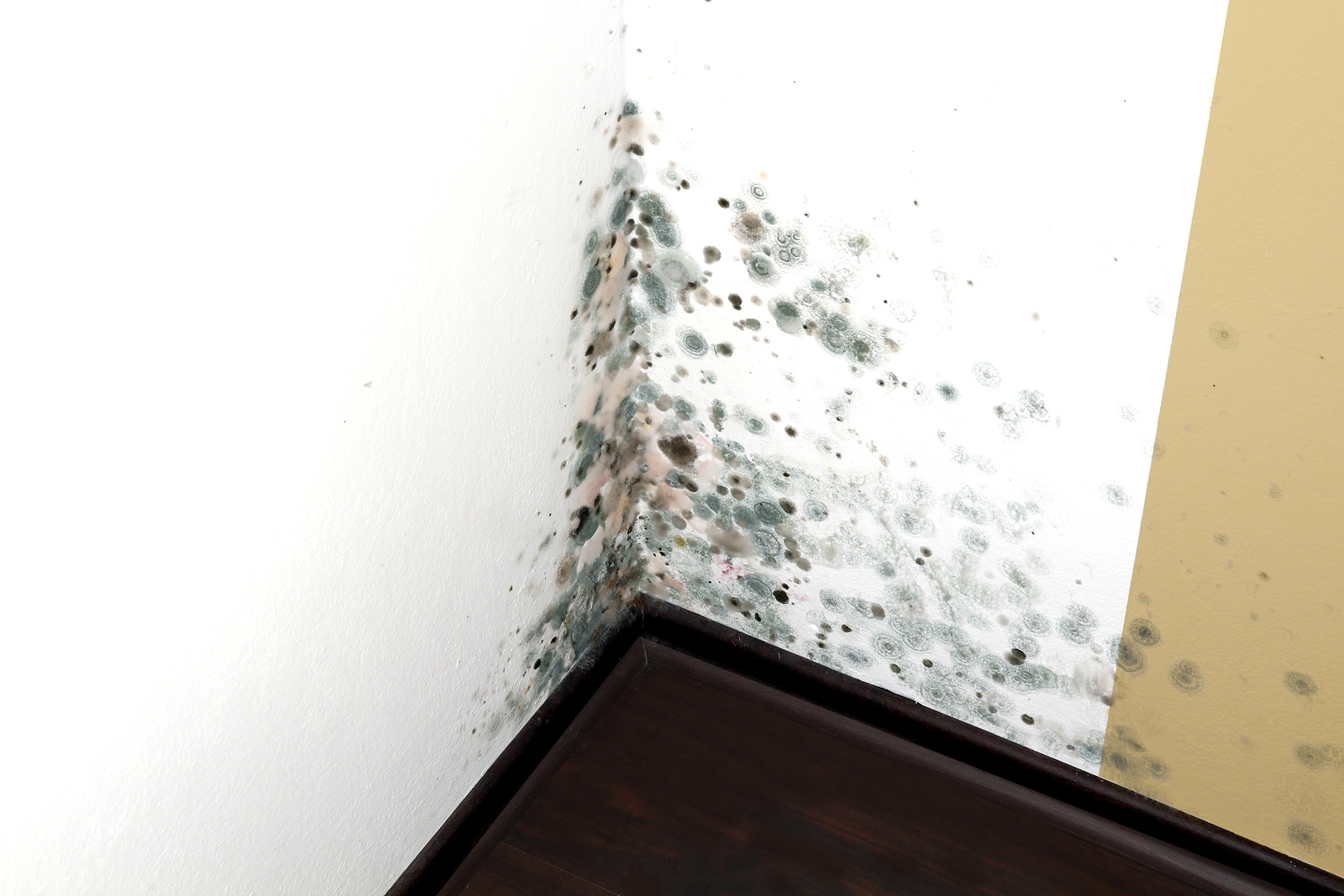 Typical Damage to Homes After Flooding