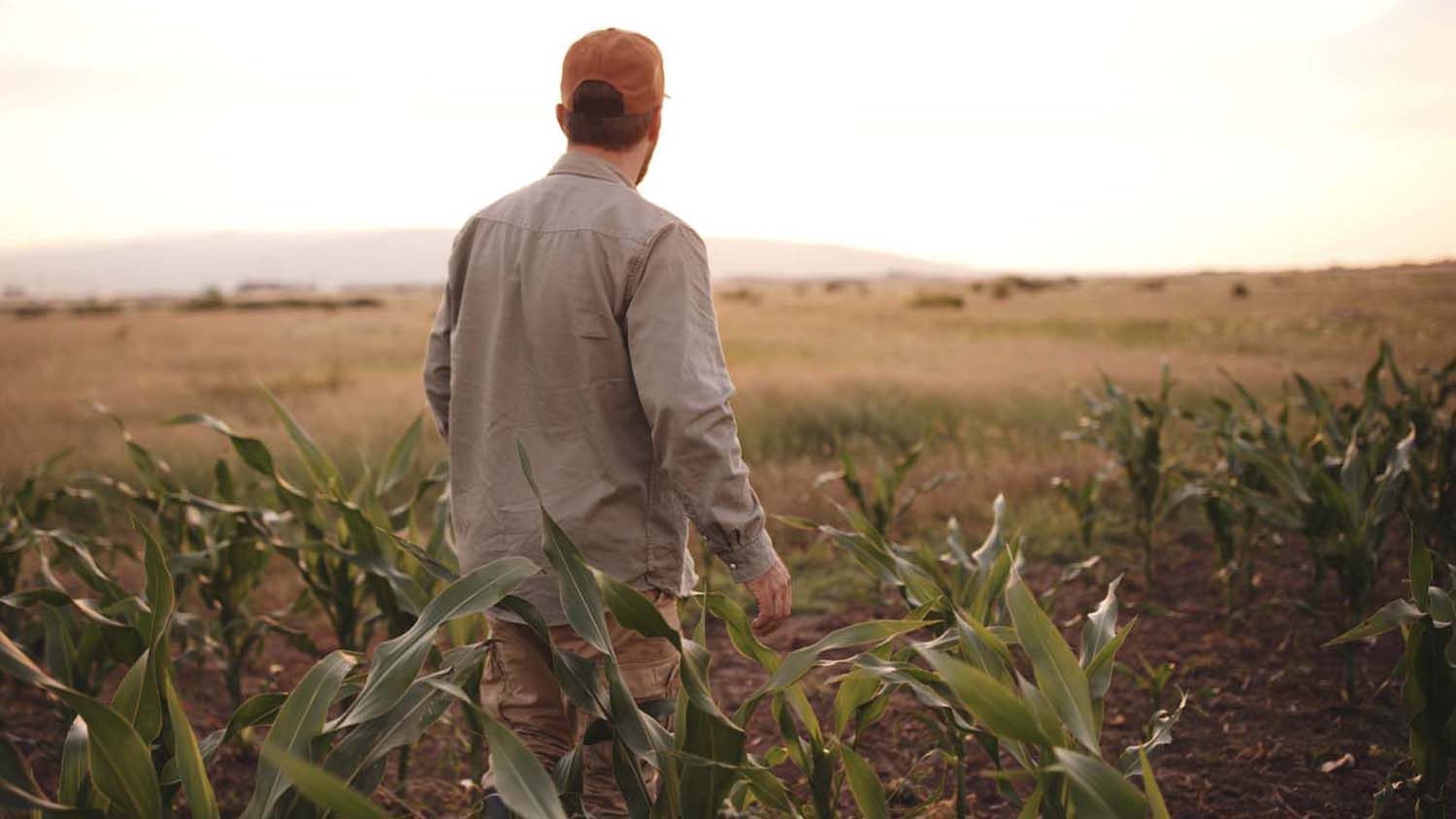 Farm and Ranch Stress Assistance Network (FRSAN) South