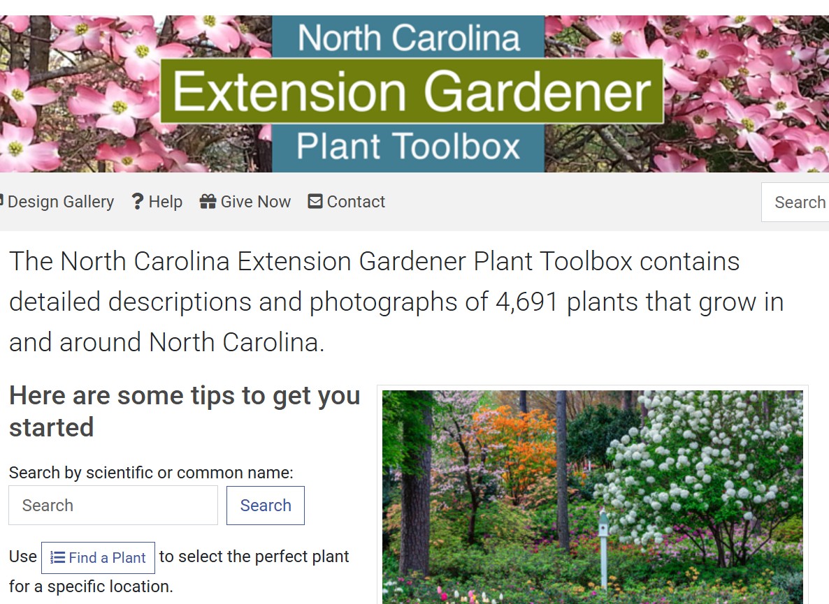 Impact Report Showcases How Volunteer Contributions Grow the Plant Toolbox